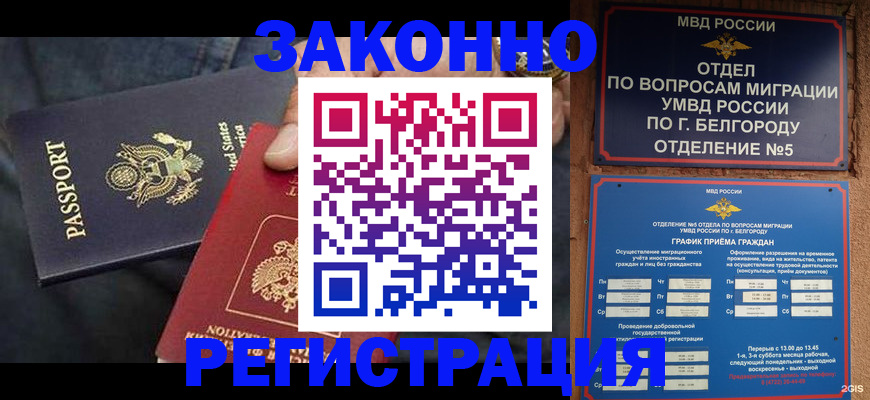 прописка законно в Ельне